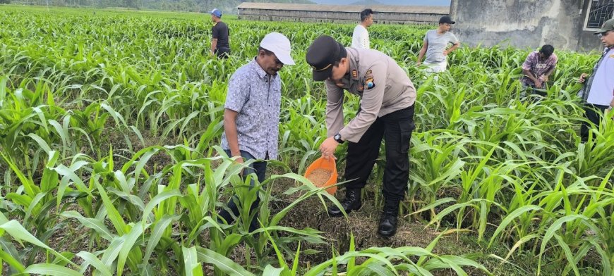 Polres Malang Konsisten Dukung Ketahanan Pangan Lewat Pemberdayaan Potensi Desa